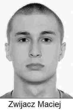 Zwijacz Maciej